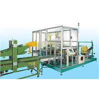Secondary packaging automation line manufacturer